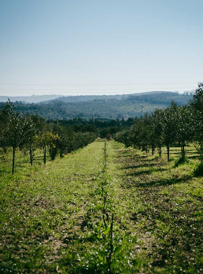 podere rigenerativo